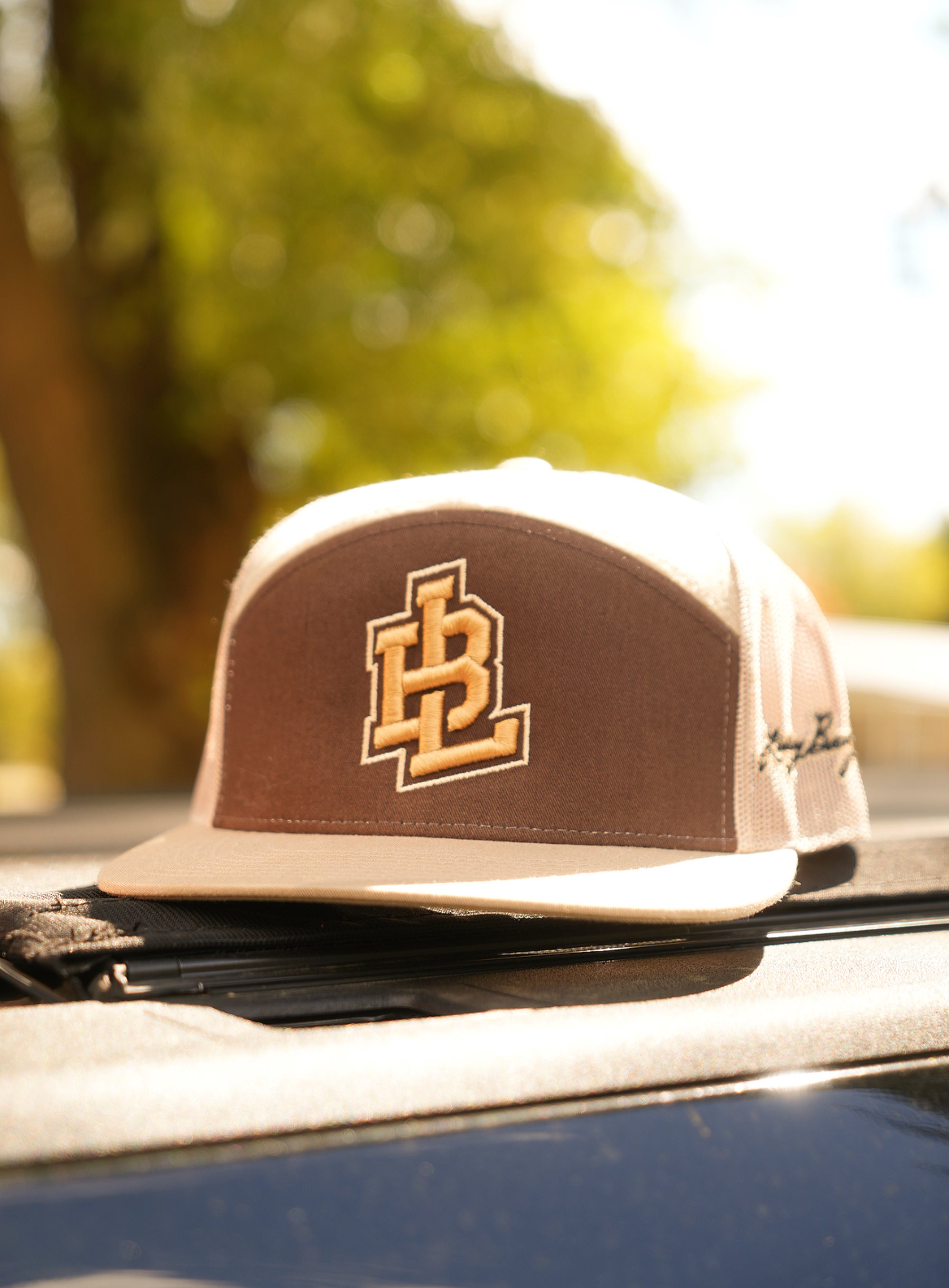 Tan and Brown Hat image 1